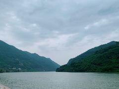 -后柳水乡