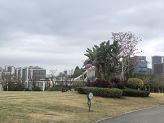 -白石龙音乐公园