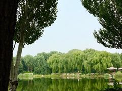 -北坞公园