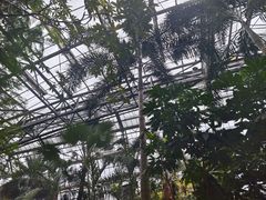 -南山植物园