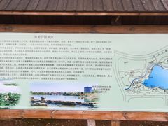 -洛龙公园
