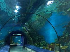 -福州罗源湾海洋世界旅游区