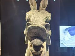 -广西壮族自治区博物馆