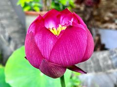 -天和楼·精致太湖酒家(太湖店)