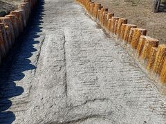 -白水寺森林公园
