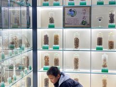 -广东中医药博物馆