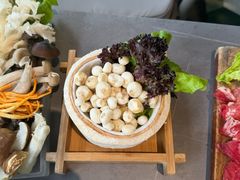 -椰子不语 椰子鸡火锅(淮海店)