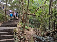 -紫金山山顶公园