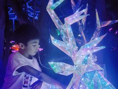 -广西壮族自治区药用植物园