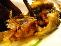 -新光酒家·河豚·海鲜·蟹料理(浦东店)