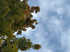 -狼山风景名胜区