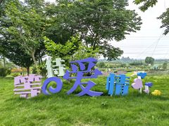 -紫颐香薰山谷景区