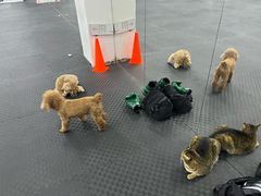-FIGHTMAN格斗俱乐部(长宁临空店)