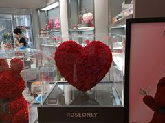 -ROSEONLY诺誓(广州K11店)