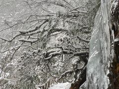 -龙苍沟森林公园