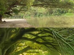 -云水谣景区