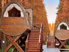 -黄海国家森林公园