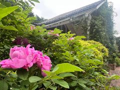 -故乡缘·香格里拉山庄(冷竹路店)