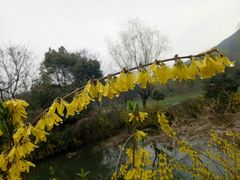 -白马涧龙池景区