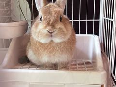 -懒鱼时光馆(沙坪坝店)
