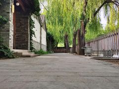-尚庄度假村·庭台树下·户外烧烤·团建CS·轰趴营地(上庄水库店)