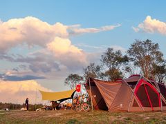 -春花秋色城市公园