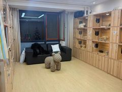 -猫十亿·布偶金渐层·曼基康矮脚猫舍(青年路店)