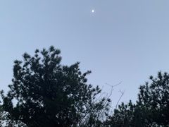 -鬼笑石后山停车场