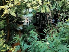 -天河潭旅游度假区