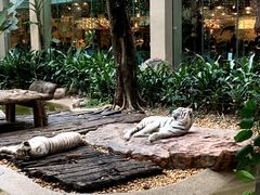 -广州长隆国际大马戏