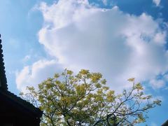 -七宝古镇