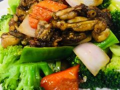 -红星光发煲仔饭(大石街店)