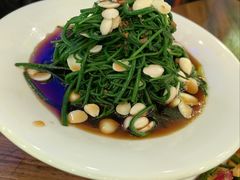 -丝路传奇·中国拉面航母店(北医三院店)