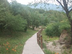 -白水寺森林公园