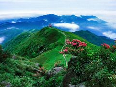 -姑婆山旅游区
