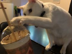 -Doors独立剧情密室(东门分店)