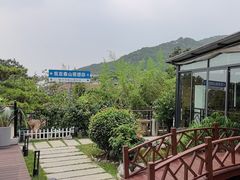 -蘇河湾·新鲁菜·泰山宴(泰山店)