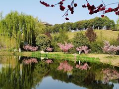 -西安浐灞国家湿地公园