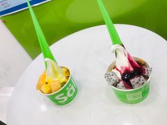 -Salud撒露欧洲冻酸奶(五道口购物中心店)