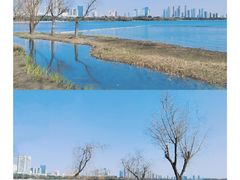 -渤公岛生态公园
