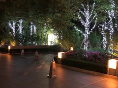 -新发展亚太JW万豪酒店·福苑咖啡厅