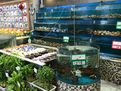 水产区-海岛渔村大酒店(云霄路店)