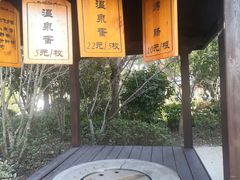 -苏州湾·王焰温泉