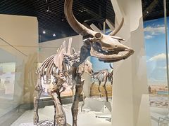 -国家自然博物馆