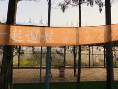 -前小桔亲子创意农场·草莓采摘·露营烧烤