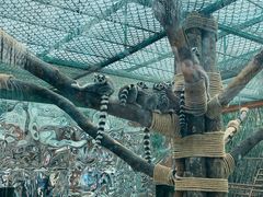 -栾川竹海野生动物园