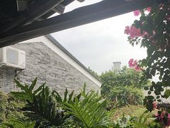 -顺德了能馆(虎门店)