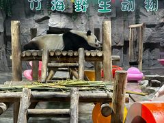 -栾川竹海野生动物园