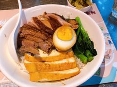 金奖卤鹅肉饭-陈鹏鹏潮汕菜(宝安机场T3航站楼店)