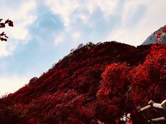 -石门坊